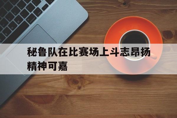 秘鲁队在比赛场上斗志昂扬精神可嘉